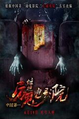 男明星是什么梗
